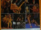 Van Halen ‎– Castel Donnington Vinyl, LP, Unofficial Release UK 1984