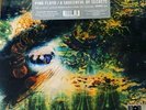 Pink Floyd A Saucerful of Secrets RSD Vinyl New MONO