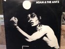 ADAM AND THE ANTS Antmusic 12
