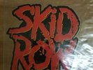 SKID ROW 18 & LIFE Limited Edition VINYL Shaped Picture Pic Disc EIGHTEEN AND