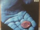 Coldplay The Blue Room E.p Limited Edition Lp