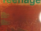 TEENAGE FANCLUB A CATHOLIC EDUCATION GFOLD LP UK 1990 N MINT PAPLP004