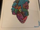 Love Forever Changes Original Stereo US Elektra Pressing Allentown Near Mint