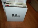 The Beatles in Mono Vinyl Box Set by The Beatles NOT PLAYED