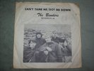  The Benders, Can't Tame Me/Got Me Down, 45 Record