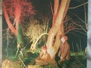 ECHO AND THE BUNNYMEN  