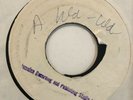 DELROY WILSON / NEW ESTAB. one one / adis a wa wa / skylarking - BLANK RARE