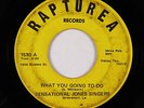 Black Gospel 45 - Sensational Jones Singers - What You Going To Do - Rapturea