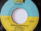 WE THE PEOPLE-MAKING MY DAYDREAM REAL ON LION NORTHERN 45-HEAR