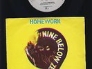 Homework - Nine Below Zero - I Can't Help myself - HOLLAND