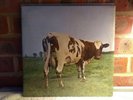 Pink Floyd - Atom Heart Mother  LP Vinyl SHVL 781 1E062 ? 04550  A1G B1G UK