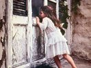 Violent Femmes  ( VINYL 06-08-2018 ) NEW
