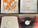 Alone. Somewhere in the Sierras Vinyl LP Test Press A Lot Like Birds Limited