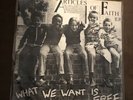 Articles Of Faith - What We Want Is Free 7” Ep Punk Vinyl 1st Press Black Flag