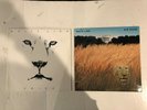 white lion-big lion-pride-mint glossy vinyl-1987-1989