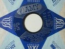 mod garage psych 45 The Breakers - Don't Send Me No Flowers AMY listen fuzz
