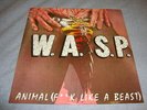 WASP w.a.s.p. Animal 12