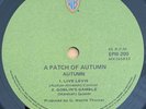 LEVI STRAUSS PROMOTIONAL 45rpm RECORD - WARNER BROTHERS