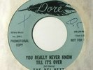 harmony sweet soul 45 THE VEL-VETTS - You Really Know Till It's Over DORE hear