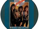 Dokken 12
