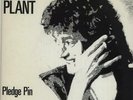Robert Plant Pledge Pin 7