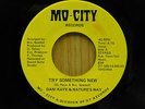 Dani Raye & Natures Way soul 45 Try Something New bw Clouds On A Sunny Mo City