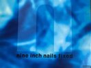 Nine Inch Nails - Fixed 12” Vinyl Island / TVT Records