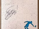 DJ Shadow Signed Bergschrund 12