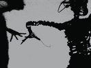 Twilight Singers - Dynamite Steps 2x vinyl LP NEW/SEALED Greg Dulli Afghan Whigs