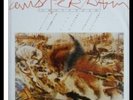 LITFIBA / DIAFRAMMA -PRIMA STAMPA 1985 - VINILE 12