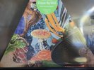 MODEST MOUSE POISON THE WELL TRIANGLE PICTURE DISC RECORD STORE DAY RSD 2019