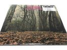 Twink Think Pink 2019 Vinyl RSD Record Store Day Psych Space Rock Sealed Ltd New