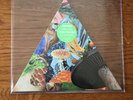 MODEST MOUSE POISON THE WELL TRIANGLE PICTURE DISC RECORD STORE DAY RSD 2019