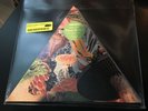 MODEST MOUSE POISON THE WELL TRIANGLE PICTURE DISC RECORD STORE DAY RSD 2019