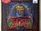 THE ALLMAN BROTHERS BAND BEAR'S SONIC JOURNAL FILLMORE RSD 2019 VINYL LP POSTER
