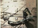 RSD 2019 Georg Danzer Im Häf´n Schdiabd di Söh #267 7