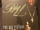 BIG L hip hop THE BIG PICTURE original press  2000 2 LP ditc SEALED DJ Premier