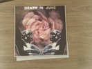 Death In June ?– Rose Clouds Of Holocaust