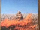 The Maccabees Given To The Wild Double Vinyl