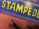 1990 Jon and The Nightriders - Stampede LP Record - ED 214 - VG+ / VG+ - RARE