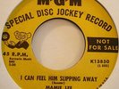 mamie lee - i can feel him slipping away / the show is over - northern soul