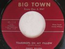 JIMMY WILSON AND HIS BAND BIG TOWN 113 TEARDROPS ON MY PILLOW MOUNTAIN CLIMBER $