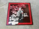 THE RESIDENTS-PRESENT THE THIRD REICH 'N ROLL-LP-VINYL-RALPH RECORDS-RR 1075-NM