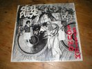 SIGNED by six members of STEEL PULSE (inc Steve Nesbitt RIP) Sound System 12