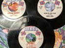 REBEL 504, Happy Fats 501, Son of Mississippi 500. Looking For A Handout & more