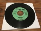 VG 1966 Garage The Shoremen ?– Dance, USA  / I Expect Too Much WYNWOOD
