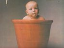 BARCLAY JAMES HARVEST - Baby James Harvest VINYL (1972) NM/VG+ British Import