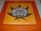 BRANT BJORK and The Low Desert Punk Band - Black Power Flower - LP Vinyl
