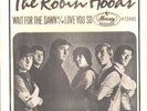 ROBIN HOODS--PICTURE SLEEVE + 45--(WAIT FOR THE DAWN)--PS--PIC--SLV