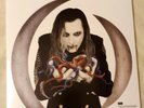 A Perfect Circle Eat The Elephant 2-LP White Vinyl  TOOL